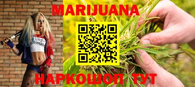прущие крисы Новозыбков