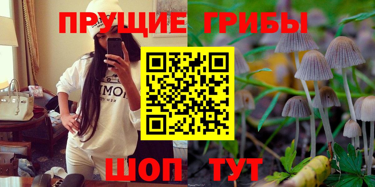 Псилоцибиновые грибы прущие грибы Псков